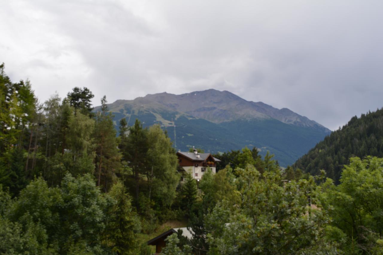 Albergo - B&B Alpina Premadio Exteriör bild